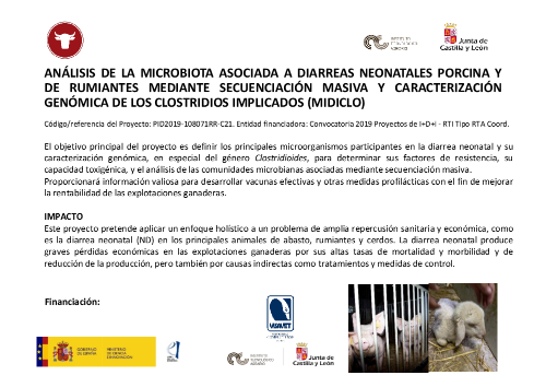 ANÁLISIS DE LA MICROBIOTA ASOCIADA A DIARREAS NEONATALES PORCINA Y DE RUMIANTES MEDIANTE SECUENCIACIÓN MASIVA Y CARACTERIZACIÓN GENÓMICA DE LOS CLOSTRIDIOS IMPLICADOS (MIDICLO)